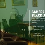 Camera de Black Jack: Salonul diplomatic exclusivist pentru experiențe private și producții de excepție